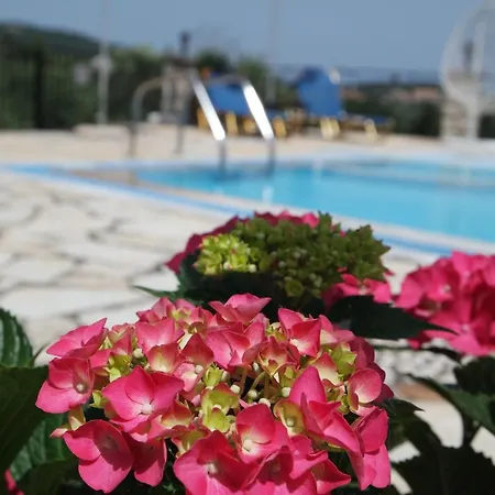 Bacchus Corfu *